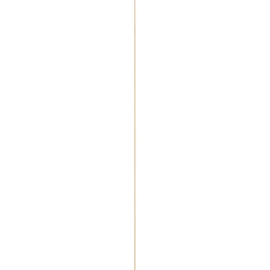 Hollat grenen 22x22 mm lengte 270 cm