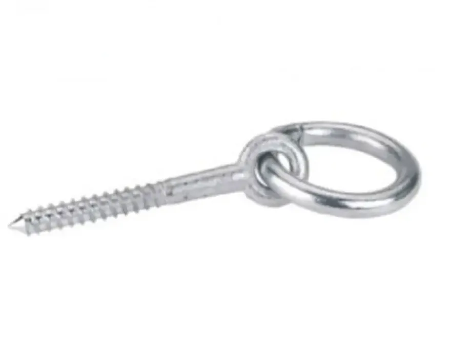 Houtdraadbout + Ring8Mm Rvs316