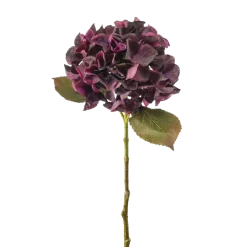 Hydrangea stem burgundy 47cm
