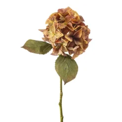 Hydrangea stem koraal 47cm