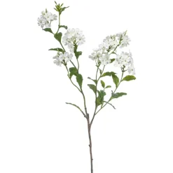 Jasmin spray wit 82cm