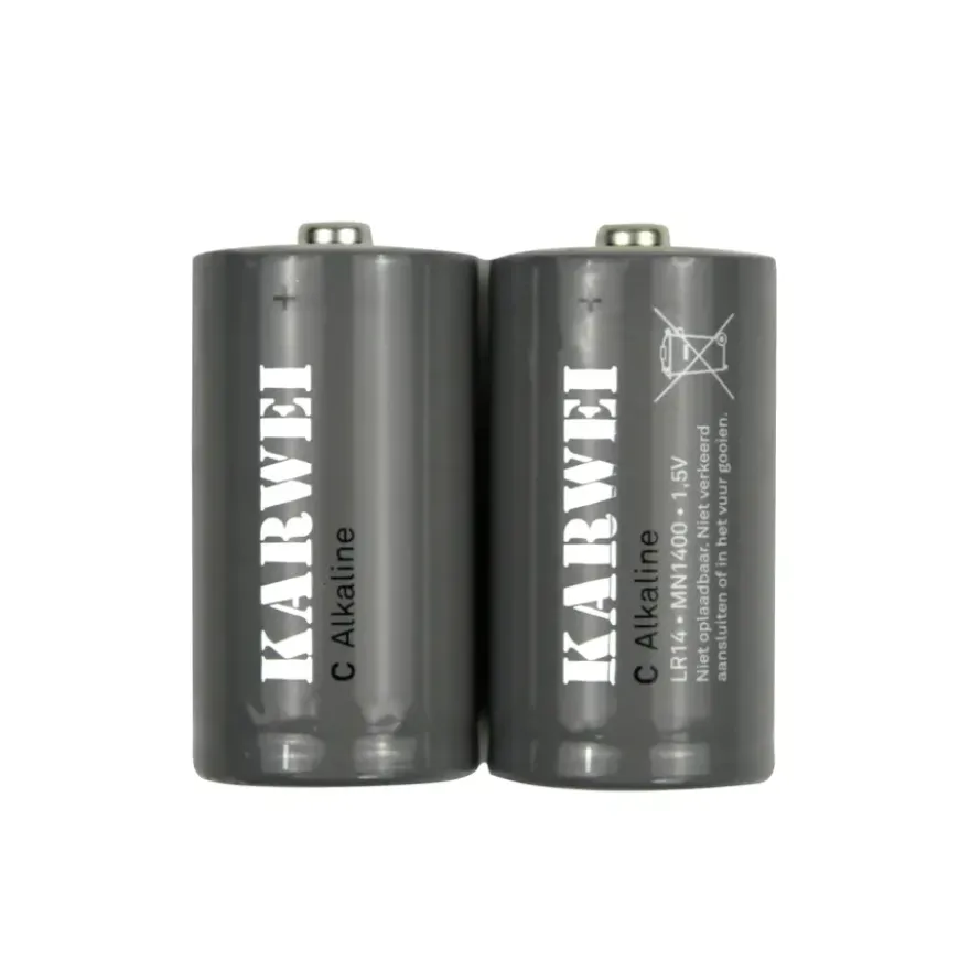 KARWEI Batterij Alkaline C 2 stuks