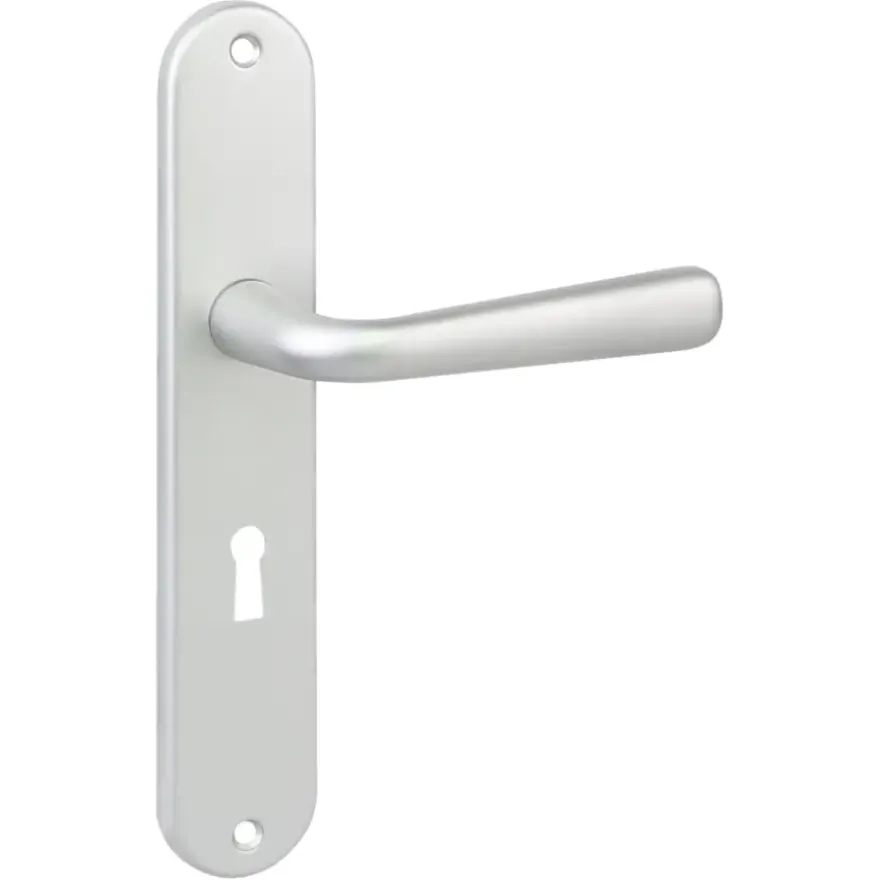 Karwei deurkruk set Spanje ovaal schild sleutelgat 56 mm ANOX aluminium mat