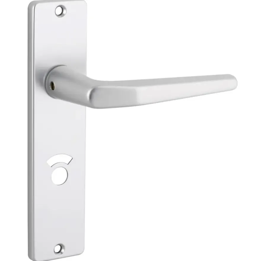 KARWEI insteekslot badkamerslot/wc-slot compleet met deurschild Doorn 50mm PC 63mm