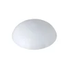 KARWEI magneetje wit 20 mm (10 stuks)