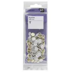 KARWEI Punaise Wit - 100 Stuks