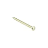 KARWEI spijker vermessingd 2x30 mm (50 stuks)