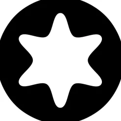 KARWEI unischroef platkop rvs 6x160 mm (15 stuks)