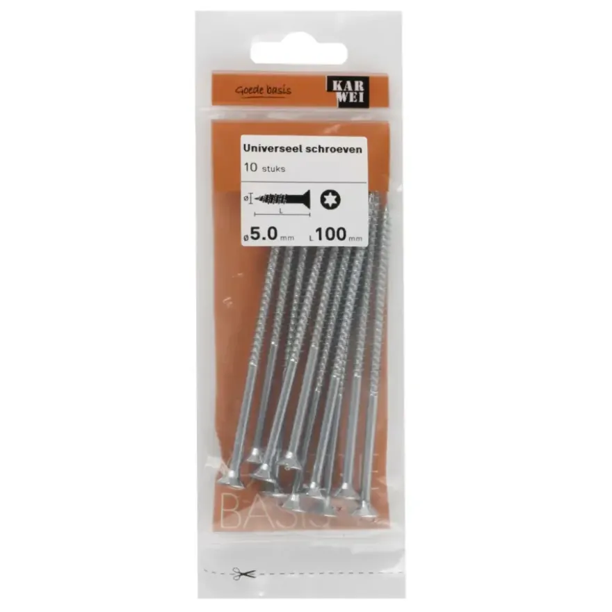 KARWEI unischroef platkop verzinkt 5x100 mm (10 stuks)