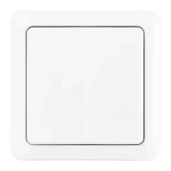 KlikAanKlikUit draadloze wandschakelaar AWST-8899