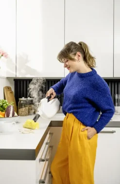 Kärcher stoomreiniger SC1