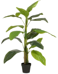 Kunstplant Strelitzia in pot groen - h150xd40cm
