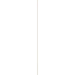Kwartrond grenen wit gelakt 11x11mm 270cm