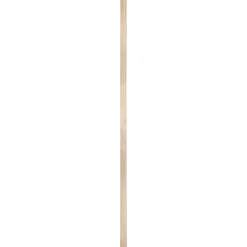 Lat grenen DD-vorm 18x55 mm lengte 210 cm