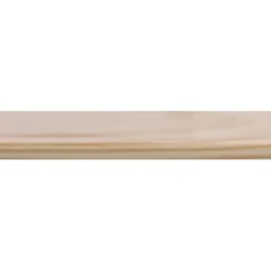Lat grenen DD-vorm 18x55 mm lengte 210 cm