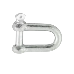 Ledent D-sluiting verzinkt 6 mm (2 stuks)