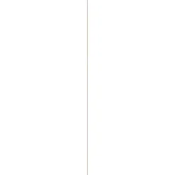 Lijst hockeystick grenen 9x27 mm lengte 270 cm