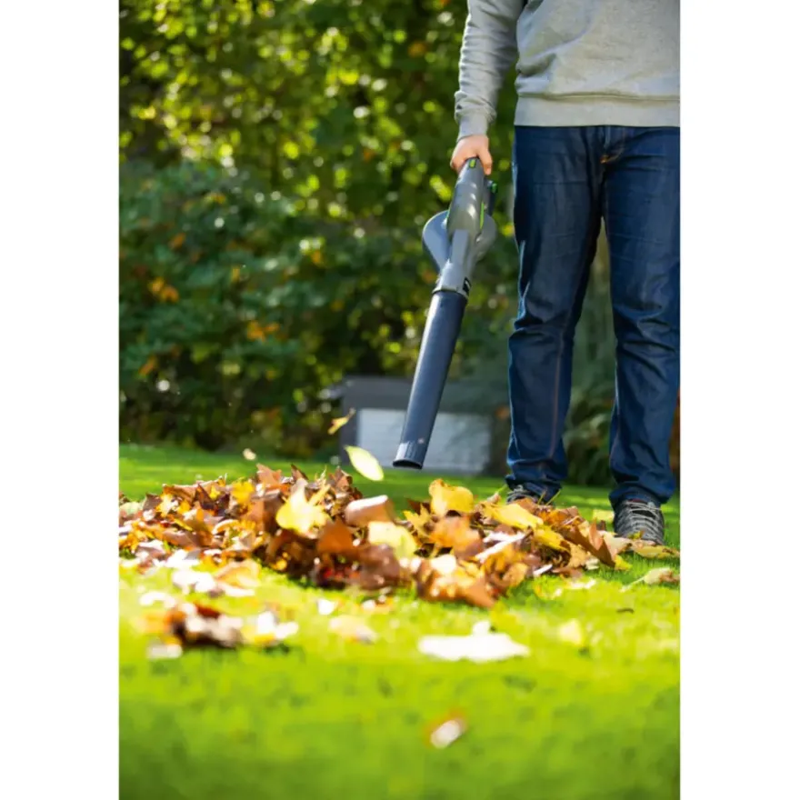 LUX 20V accu bladblazer (zonder accu)