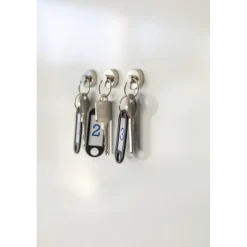 Magneet sleutelhanger Neodymium zilver 20mm 2 stuks