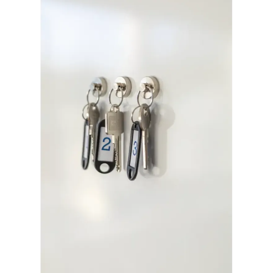 Magneet sleutelhanger Neodymium zilver 20mm 2 stuks