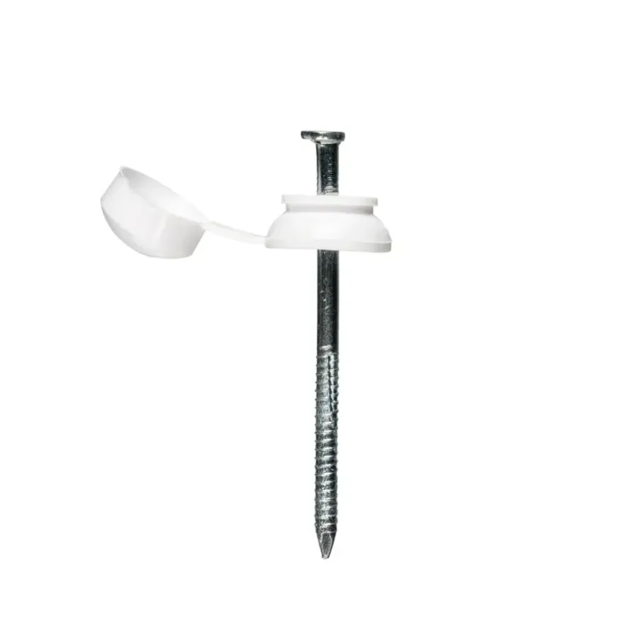 Martens Schroef voor PET / Polyester Golfplaat 76/18 Wit 50 stuks