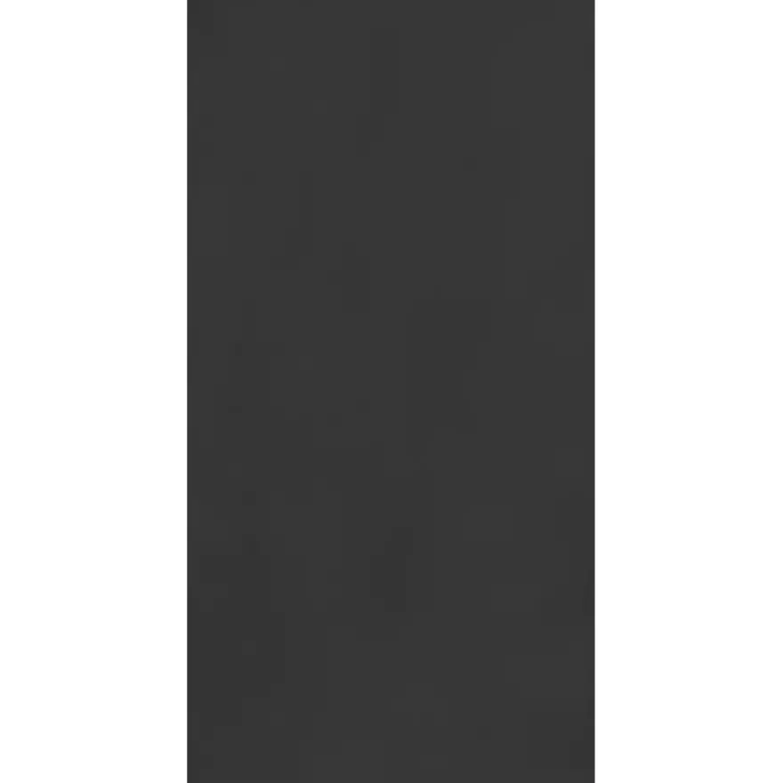 MDF-plaat zwart 244 x 122 cm 18 mm