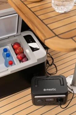 Mestic power station MPS-300