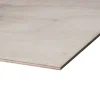 Multiplex garantplaat okoumé 250 x 122 cm 10 mm