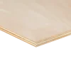 Multiplex plaat hardhout voor binnen 122 x 61 cm 12 mm