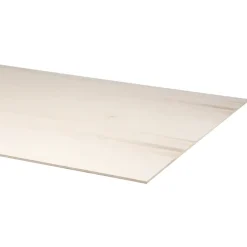 Multiplex plaat populieren 244 x 122 cm 9 mm