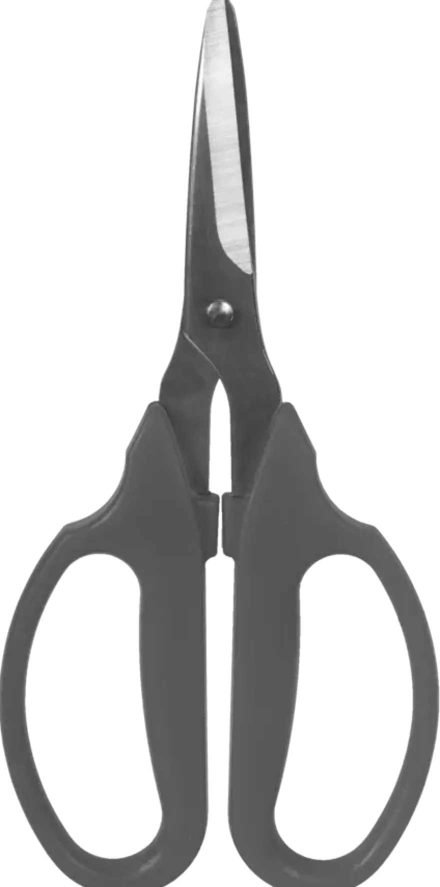 Multischaar
