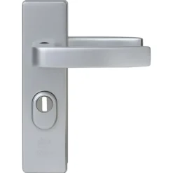 NEMEF veiligheidsbeslag KS met kerntrekbeveiliging SKG 3-sterren achterdeur 55 mm