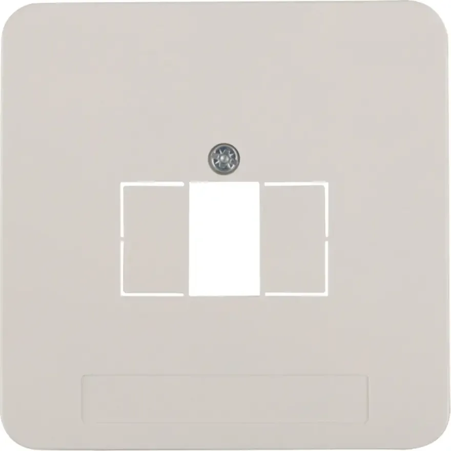 Peha Standard Afdekplaat USB wit
