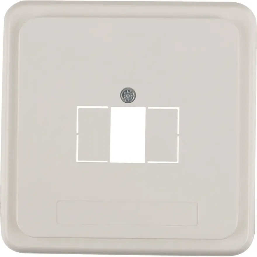 Peha Standard Afdekplaat USB wit