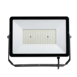 Philips breedstraler 4750 lumen 4000K 50W