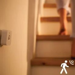 Philips Hue bewegingssensor