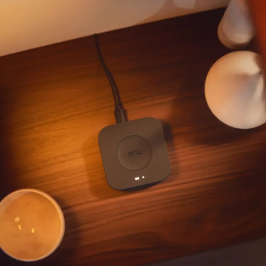 Philips Hue Bridge Pro Smart Hub controlestation