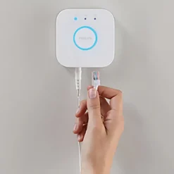 Philips Hue losse bridge