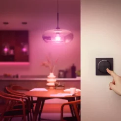 Philips Hue Tap dial switch draaischakelaar zwart