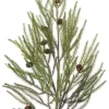 Pine branch met cones