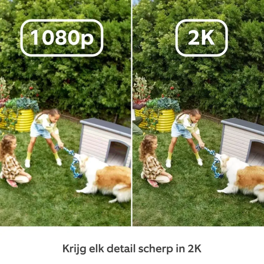 Ring Outdoor Camera Plus Battery Zwart 2K