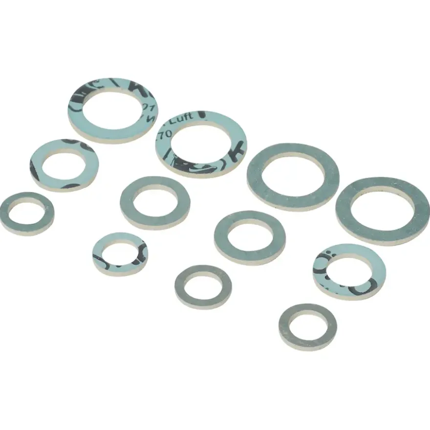 Sanivesk HD Afdichtingsring Assortiment 1 12 stuks