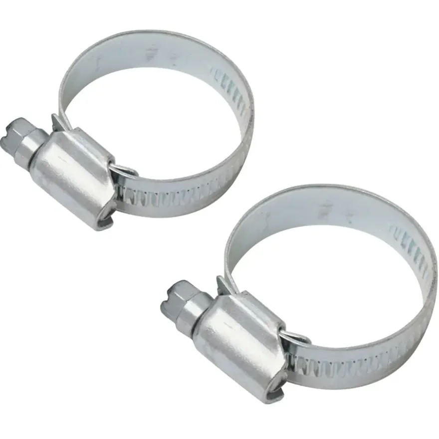 Sanivesk Slangklem 20-32mm Verzinkt 2 stuks