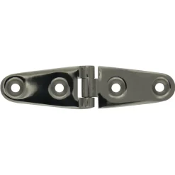 Scharnier 100x25mm rvs