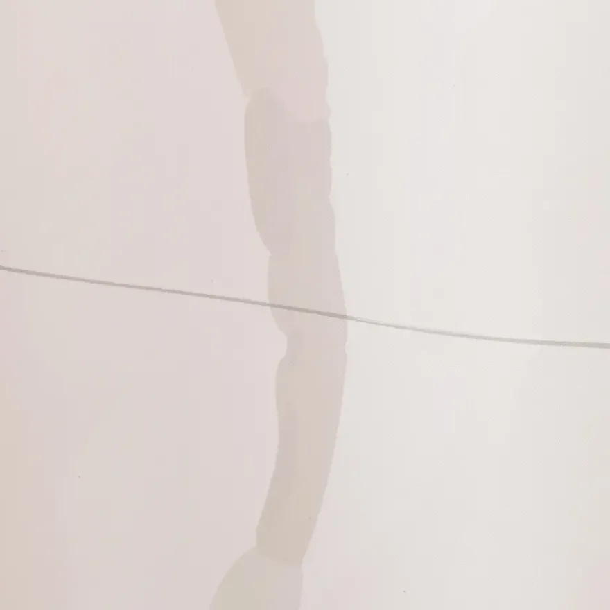 Sealskin douchegordijn earth 180x200cm donker groen /wit