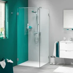 Sealskin Swingdeur voor Douchewand I AM 200x100 cm Chroom