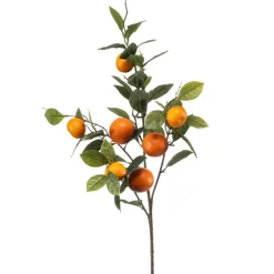 Sinaasappel fruit spray 80cm