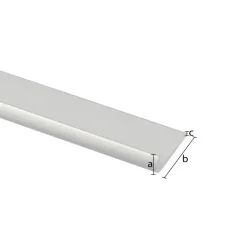 Tafelrand aluminium mat zilver 25x1000x1,5mm