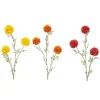 Tagetes spray mix 80cm
