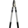Talen Tools takkenschaar aambeeld telescopisch